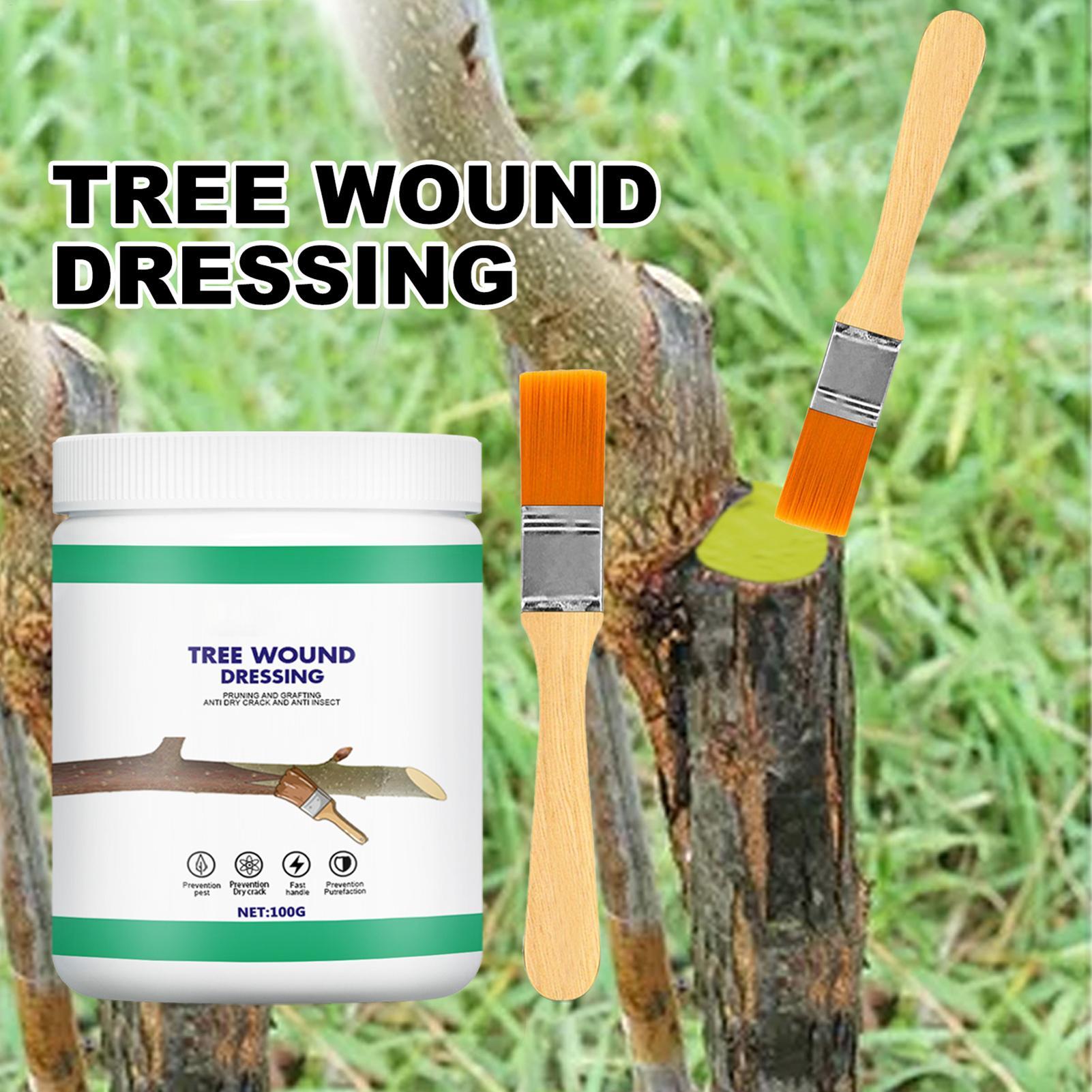 Pâte protectrice pour élagage  - Paint Brush avis et prix